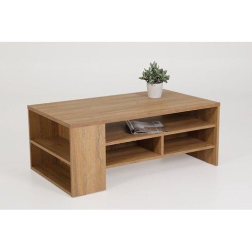 [Batch 9001002] Center Table 50×50×120 cm